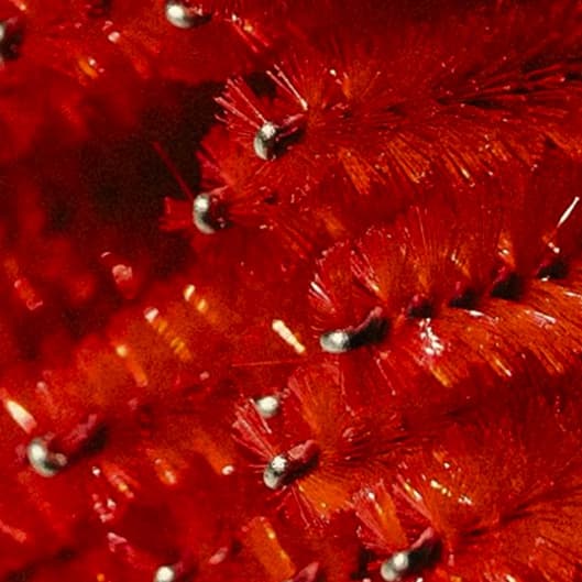 Forever Full VIP Membership at Lashed by Suzee in Kansas City, MO